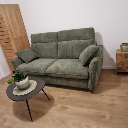 Studio Avec Terrasse Hyper Centre קולמר מראה חיצוני תמונה